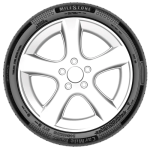 245/45 ZR18 100W Reinf. Carmile Sport Yaz 2025 - Görsel 3